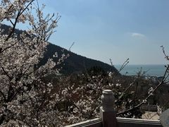 -青岛崂山太清宫