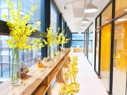 -XIDANCE·喜舞智能零舞