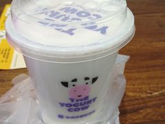 -一只酸奶牛(兰州中心店)