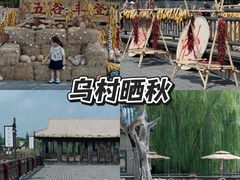 -乌村