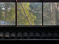 -普洱茶府(博乐广场店)