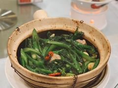 虾酱啫芥兰-勝記酒家·37年老字号·经典粤菜(荔枝公园店)