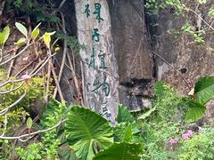 -深圳仙湖植物园
