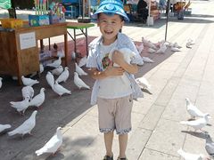 -水上乐园·欢乐世界