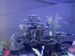 -陆琴脚艺·足浴·SPA(夫子庙店)