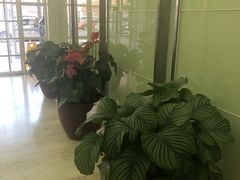 大厅-天津市口腔医院(和平本部)