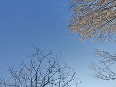 -艾溪湖湿地公园