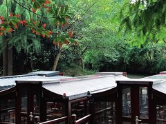 -同里国家湿地公园