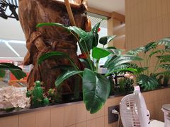-黄记煌三汁焖锅(悦方IDmall店)