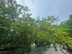 -第五季龙水凤港生态露营农场