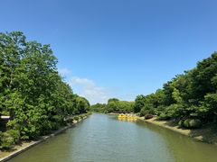 -上海海湾国家森林公园