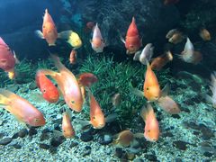 -福州罗源湾海洋世界旅游区