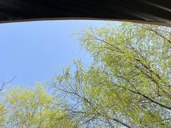 -洨河生态公园