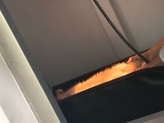 -可蒙动物医院·猫科·骨科中心(首义路店)