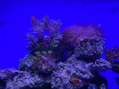 -石家庄海洋公园