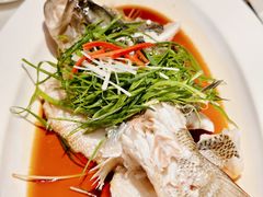 清蒸鲈鱼-院里寻菜·精致庭院菜(观沙岭店)