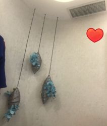 -健身堂科技美肌SPA