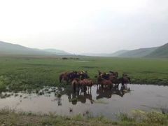 -北极村旅游风景区