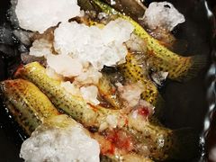 -晓靖轩烧烤(沙河风情店)