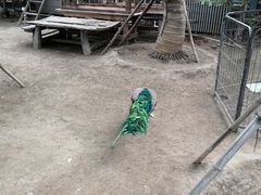 -呀路古热带植物园