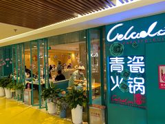 -青瓷火锅料理(西单大悦城店)