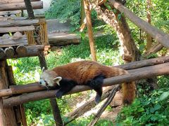 -昆明动物园