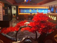 -跨越足界Spa足道(潍坊店)