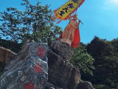 -大岭沟猕猴桃谷风景区
