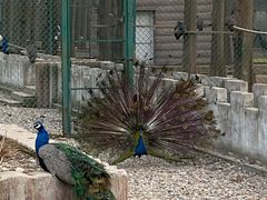 -南京金牛湖风景区