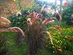 -红河印象美食文化酒楼(强盛路店)