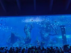 -波塞冬海底世界