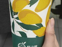 -鲜之醇(九州昌硕广场店)