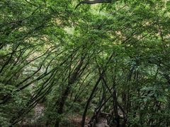 -云峰山自然风景区