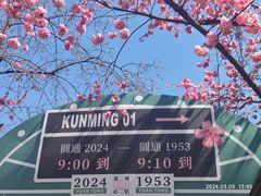 -昆明动物园