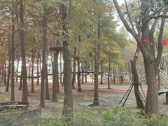 -同里国家湿地公园