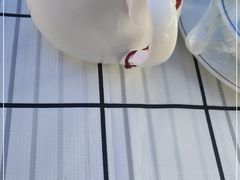 -川友记·川菜院子