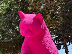 -西安电影制片厂