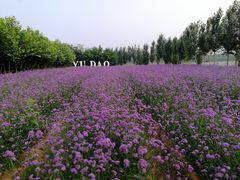 -渔岛海洋度假区