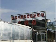 -庞各庄翠芳园西瓜蔬菜基地采摘园