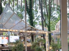 -二荆条·蜀鲜汇城市森林火锅