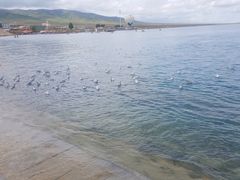 -青海湖国家重点风景名胜区