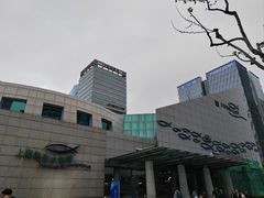 -上海海洋水族馆