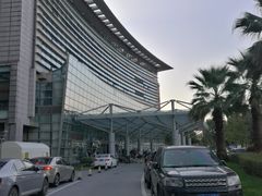 -上海中医药大学附属曙光医院(东部)