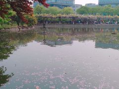 -嘉定紫藤园