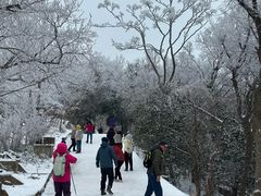 -紫金山山顶公园
