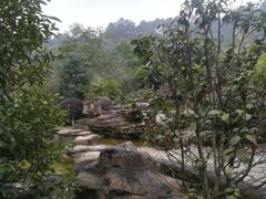 -铁山坪森林公园