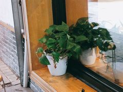 -湘村小灶·地道长沙菜·本地人优选(万家丽路店)