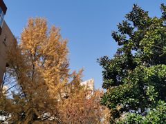 -西南交通大学(九里校区)