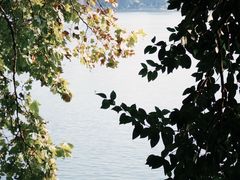 -食膳公园包子铺(烈士公园店)