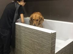 -宠宠熊宠物美容(星湖街店)